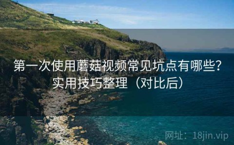 第一次使用蘑菇视频常见坑点有哪些？实用技巧整理（对比后）