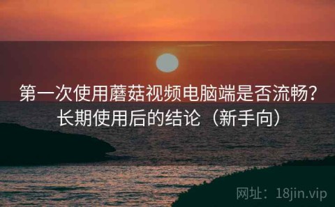 第一次使用蘑菇视频电脑端是否流畅？长期使用后的结论（新手向）