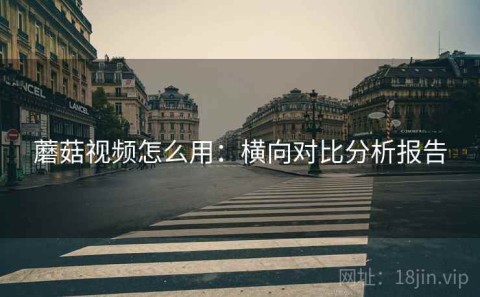 蘑菇视频怎么用：横向对比分析报告