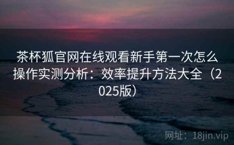 茶杯狐官网在线观看新手第一次怎么操作实测分析：效率提升方法大全（2025版）