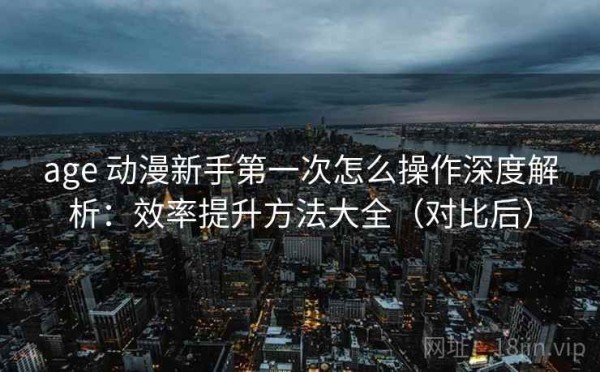 age 动漫新手第一次怎么操作深度解析：效率提升方法大全（对比后）