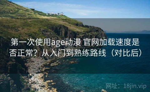 第一次使用age动漫 官网加载速度是否正常？从入门到熟练路线（对比后）