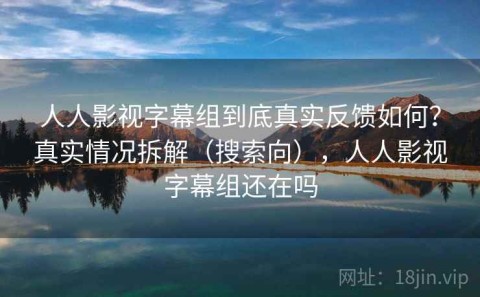 人人影视字幕组到底真实反馈如何？真实情况拆解（搜索向），人人影视字幕组还在吗