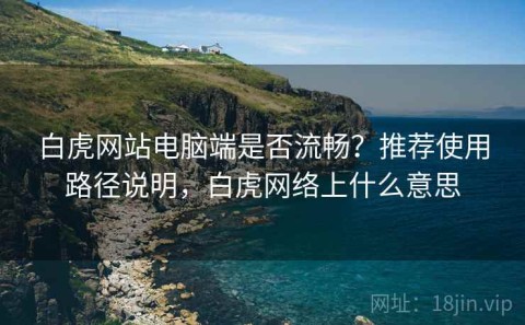 白虎网站电脑端是否流畅？推荐使用路径说明，白虎网络上什么意思