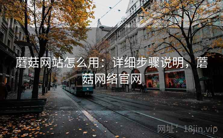 蘑菇网站怎么用：详细步骤说明，蘑菇网络官网