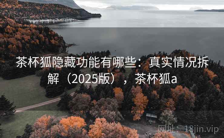 茶杯狐隐藏功能有哪些：真实情况拆解（2025版），茶杯狐a