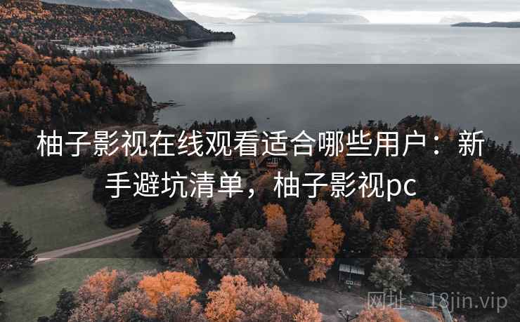 柚子影视在线观看适合哪些用户：新手避坑清单，柚子影视pc