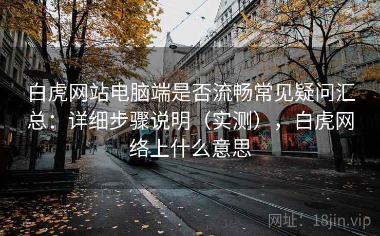 白虎网站电脑端是否流畅常见疑问汇总：详细步骤说明（实测），白虎网络上什么意思