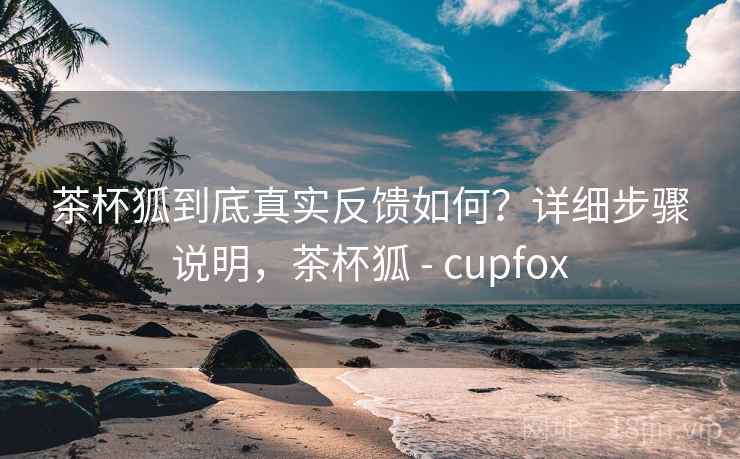 茶杯狐到底真实反馈如何？详细步骤说明，茶杯狐 - cupfox