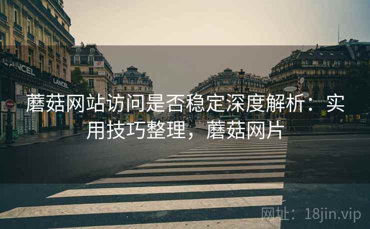 蘑菇网站访问是否稳定深度解析：实用技巧整理，蘑菇网片
