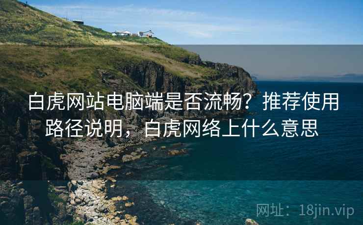 白虎网站电脑端是否流畅？推荐使用路径说明，白虎网络上什么意思