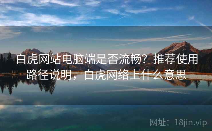 白虎网站电脑端是否流畅？推荐使用路径说明，白虎网络上什么意思