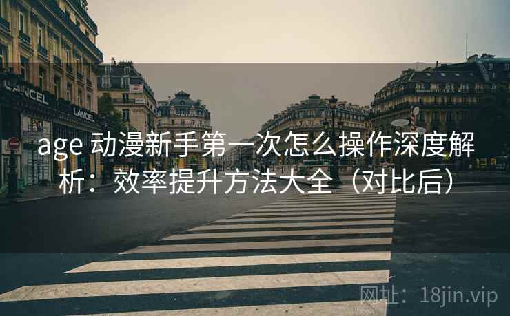 age 动漫新手第一次怎么操作深度解析：效率提升方法大全（对比后）