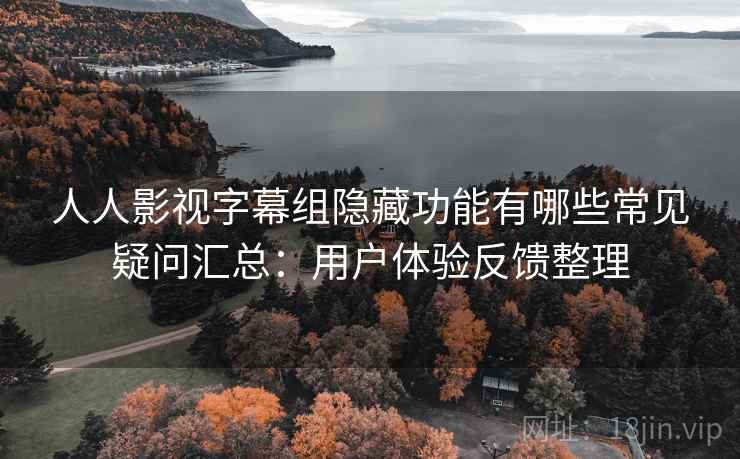 人人影视字幕组隐藏功能有哪些常见疑问汇总：用户体验反馈整理
